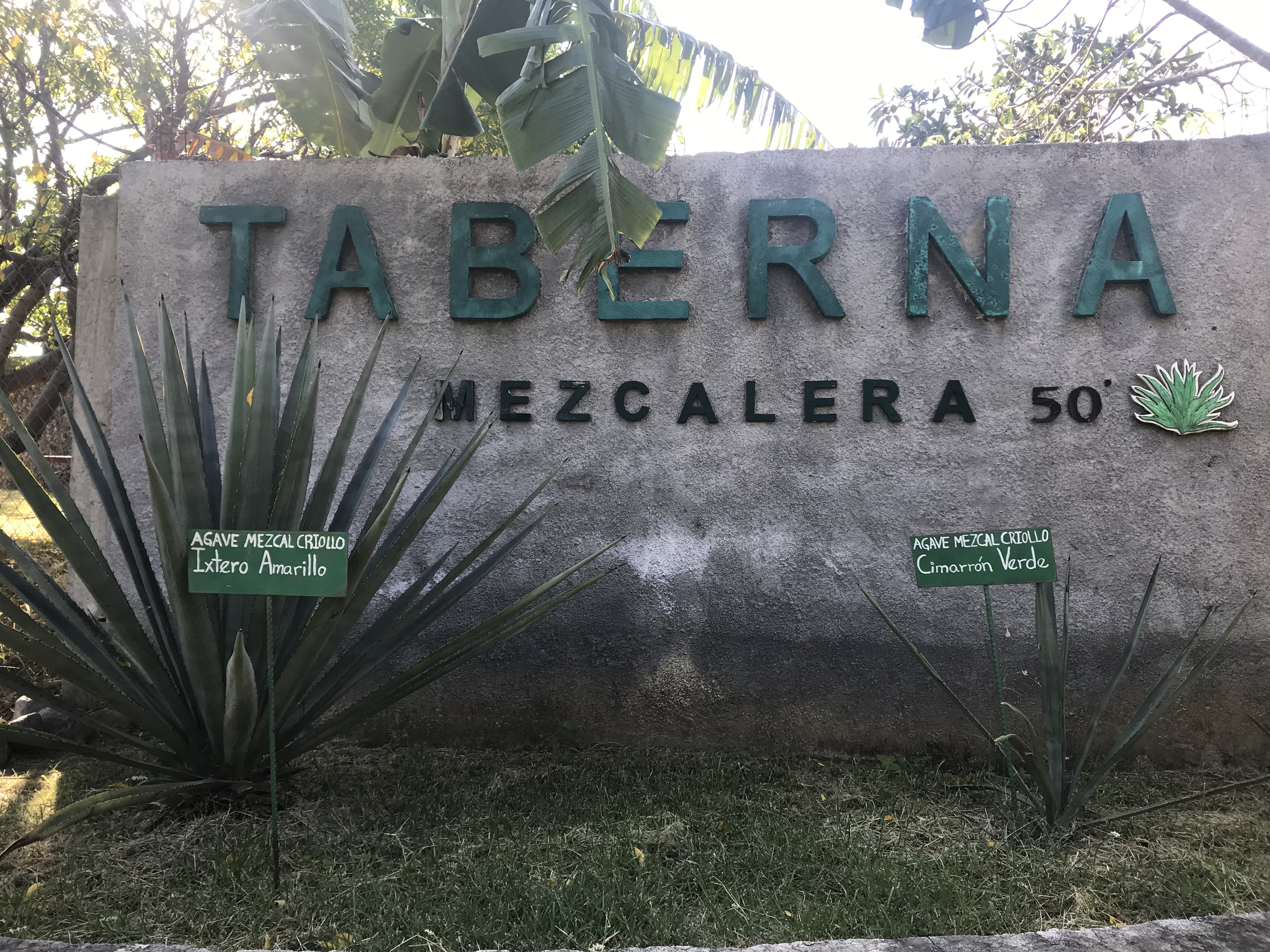 Ruta del Mezcal en Colima · Tour desde Hotel Boutique La Higuera Comala